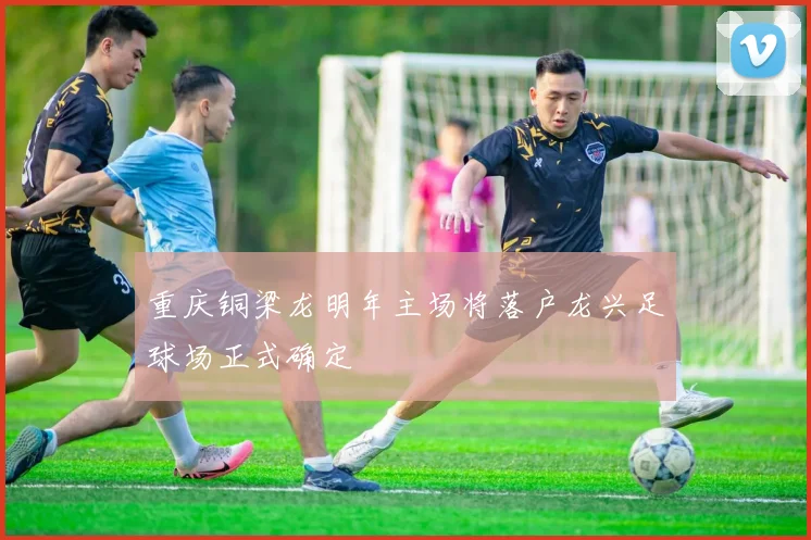 重庆铜梁龙明年主场将落户龙兴足球场正式确定