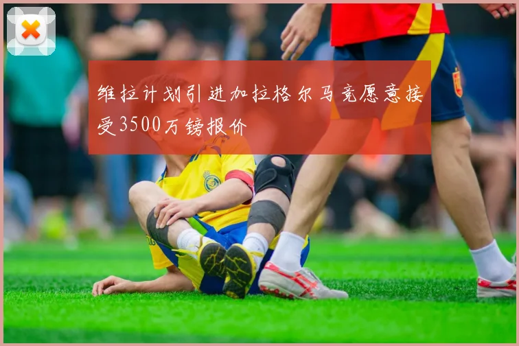 维拉计划引进加拉格尔马竞愿意接受3500万镑报价